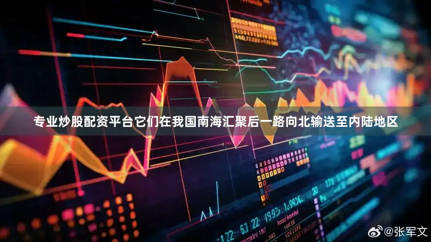 专业炒股配资平台它们在我国南海汇聚后一路向北输送至内陆地区