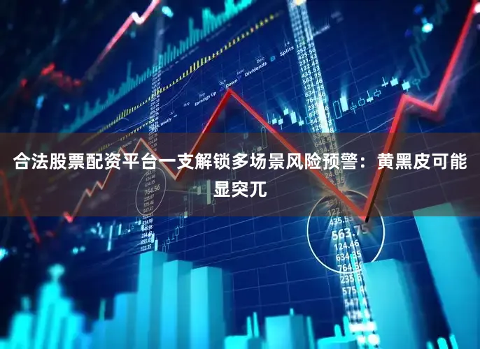 合法股票配资平台一支解锁多场景风险预警：黄黑皮可能显突兀