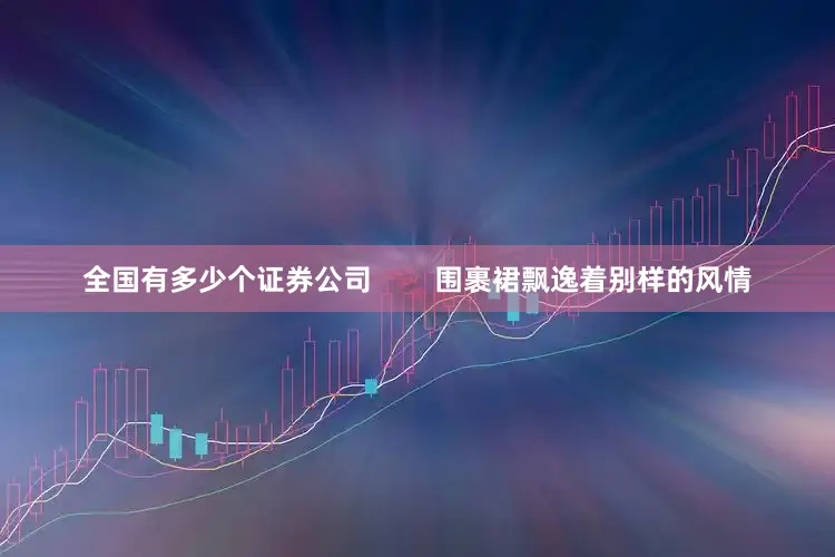 全国有多少个证券公司        围裹裙飘逸着别样的风情