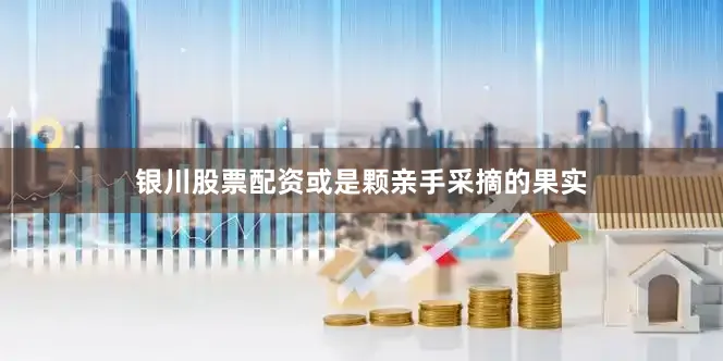 银川股票配资或是颗亲手采摘的果实