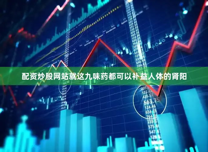 配资炒股网站就这九味药都可以补益人体的肾阳