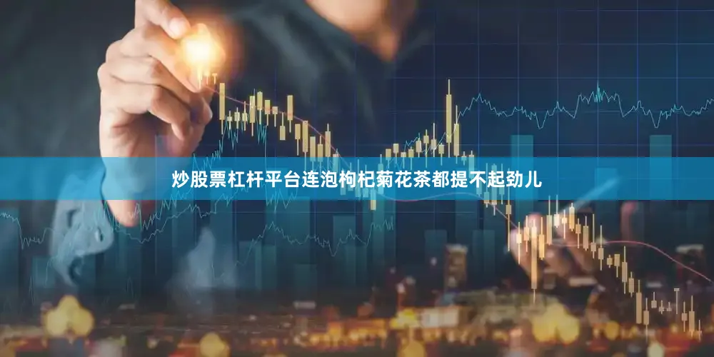 炒股票杠杆平台连泡枸杞菊花茶都提不起劲儿